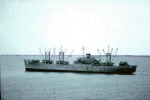 Shasta