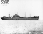 Shasta
