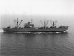Shasta